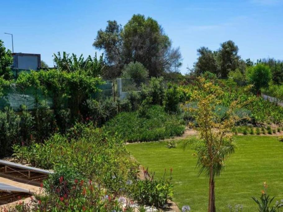 D - Luxurious & Playground & Garage Apartment Albufeira
